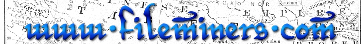 Fileminers: you ask, we find